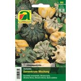 AUSTROSAAT Okrasna buča "Dornenkrone" mešanica Cene