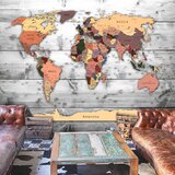  Tapeta - Direction: World 250x175 Cijene