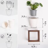 KAZAI 3-delni komplet stenskih vaz v lesenem okvirju | Shoptok.si
