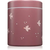 Food Jar termosica za hranu Swallow 500 ml