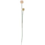 Bloomingville Umjetna biljka (visina 49 cm) Phlox – Cijene