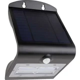 Solar LED Butterfly with Motion Detector 3,2W black