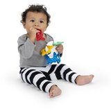 BABY EINSTEIN Ocean Explorers Sea of Sensory Teether Toy grickalica za bebe 3 m+ 1 kom | shoptok.hr