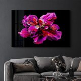 Wallity slika CAM-2000, 35 x 55 cm | Eponuda.ba