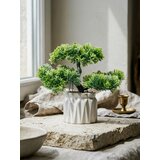 Sinsay Dekorativna biljka u saksiji – bonsai drvo | shoptok.hr