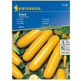 KIEPENKERL Zelenjavna semena bučka Soleil (Cucurbita pepo, Čas žetve: Julij) u