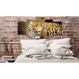  Slika - Green-eyed 100x50 | shoptok.hr