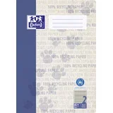 Učbenik reciklaža, DIN A4, 16 listov, linijo 2, (21654783)