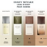 Issey Miyake L´Eau D´Issey Pour Homme toaletna voda 40 ml za moške | Shoptok.si