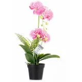 AmeliaHome Umetna rastlina (višina 55 cm) Orchid –