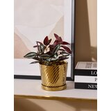 Sinsay Sjajna posuda s dijagonalnim žljebovima | shoptok.hr