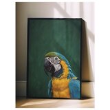 Wallxpert uramljena slika 115207, ara papagaj u plavoj i žutoj boji na tamnozelenoj pozadini, 50 x 70 cm, crni ram | Eponuda.com