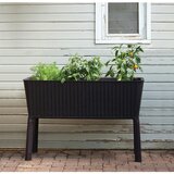 Keter Tegla za cvijeće Easy Grow – | shoptok.hr
