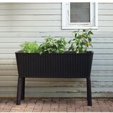 Keter Visoka greda EasyGrow (114 x 50 x 76 cm, 120 l) | Shoptok.si