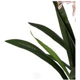 Ixia Umetna rastlina (višina 100 cm) Hyacinth – | Shoptok.si