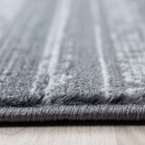 Ayyildiz Carpets Siva preproga 80x150 cm Plus – | Shoptok.si