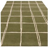 Asiatic Carpets Zeleni ručno rađen vunen tepih 160x230 cm – | shoptok.hr