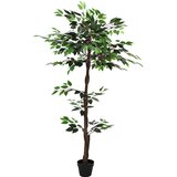  Umjetna ficus biljka Zelena 85 x 18 x 160 cm Tkanina i drvo | Eponuda.com