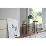 P & B Mizica Wl6.727 | Shoptok.si