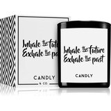 Candly & Co. Inhale the future mirisna svijeća 250 g | shoptok.hr