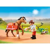 Playmobil CONNEMARA PONI 70516 | shoptok.hr