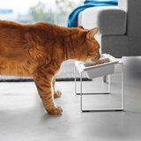 YAMAZAKI Keramički set posuda s postoljem za kućne ljubimce Nooks – | shoptok.hr