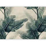  Foto tapeta - Magic Plants - First Variant 343x256 | shoptok.hr