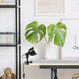Rabalux Stolne svjetiljke - Flint | shoptok.hr