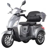 Električni mobilni voziček VISTA 1 Barva Siva Baterija Li-ion (Litij-ionska baterija), (5000178026)