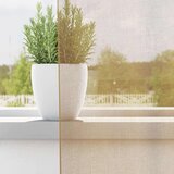 vidaXL Voile zavjese s ušicama 2 kom boja pijeska | shoptok.hr