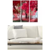 Wallity Set slika MDF312186866, 3 dijela | Eponuda.ba