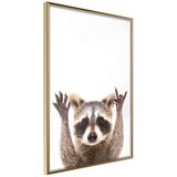  Poster - Funny Racoon 40x60 Cijene