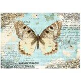  Tapeta - Postcard with butterfly 150x105 | shoptok.hr
