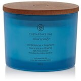 Chesapeake Bay Candle Mind & Body Confidence & Freedom mirisna svijeća I. 312 g Cijene