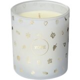  Candle Fig Tree - 1 k. | Shoptok.si