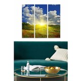 WALLXPERT MDF97335824 Višenamensko Dekorativno MDF Slikarstvo (3 Komada) | Eponuda.com