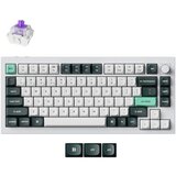 KEYCHRON Tastatura Q1H-P1 75% Purple Switch - Shell White | ePonuda.com