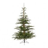  Nobilis fir 240cm Everlands jelka ( 68.9203 ) | ePonuda.com