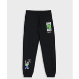 Sinsay Jogger hlače Minecraft | shoptok.hr