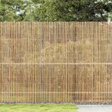  Bambusova ograda Prirodna 500 x 150 cm bambus | shoptok.hr