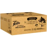 Felix 70 + 10 gratis! Mega pakiranje 80 x 85 g - Naturally Delicious: Raznolikost okusa sa sela