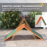  Rampa za pse Agility sklopiva podesiva visina protuklizna od jelovine do 40 kg 173 x 59 x 66 cm narančasta/zelena | shoptok.hr