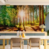  Foto tapeta - Marvelous Forest 150x105 Vodootporna | shoptok.hr