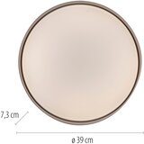 SCHÖNER WOHNEN 14594-39 - LED prigušiva plafonska svetiljka TAVOLI LED/20W/230V siva+daljinski upravljač | Eponuda.com