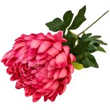  Rezano cvijeće krizantema 67 cm roza Cijene