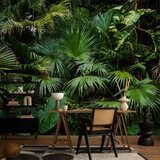  Foto tapeta - Sunny Jungle 147x105 | shoptok.hr