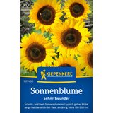 KIEPENKERL Sončnica "čudežen rez" - 1 pkt. Cene