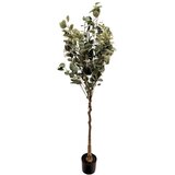  Drvo OLIVE 120cm - N61 | ePonuda.com