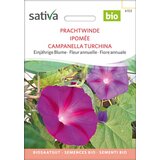 Sativa Okrasni slak Cene