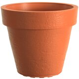 Saksija Di Martino Tago | ePonuda.com